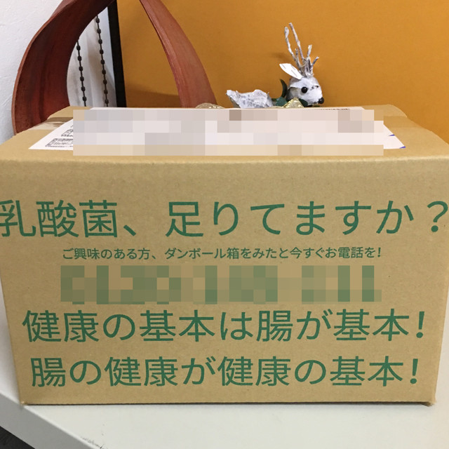 広告入り60サイズ ダンボール販売 20枚 通販に最適1枚 25円 ダイエットと美容を販売するお店 スタープラチナ