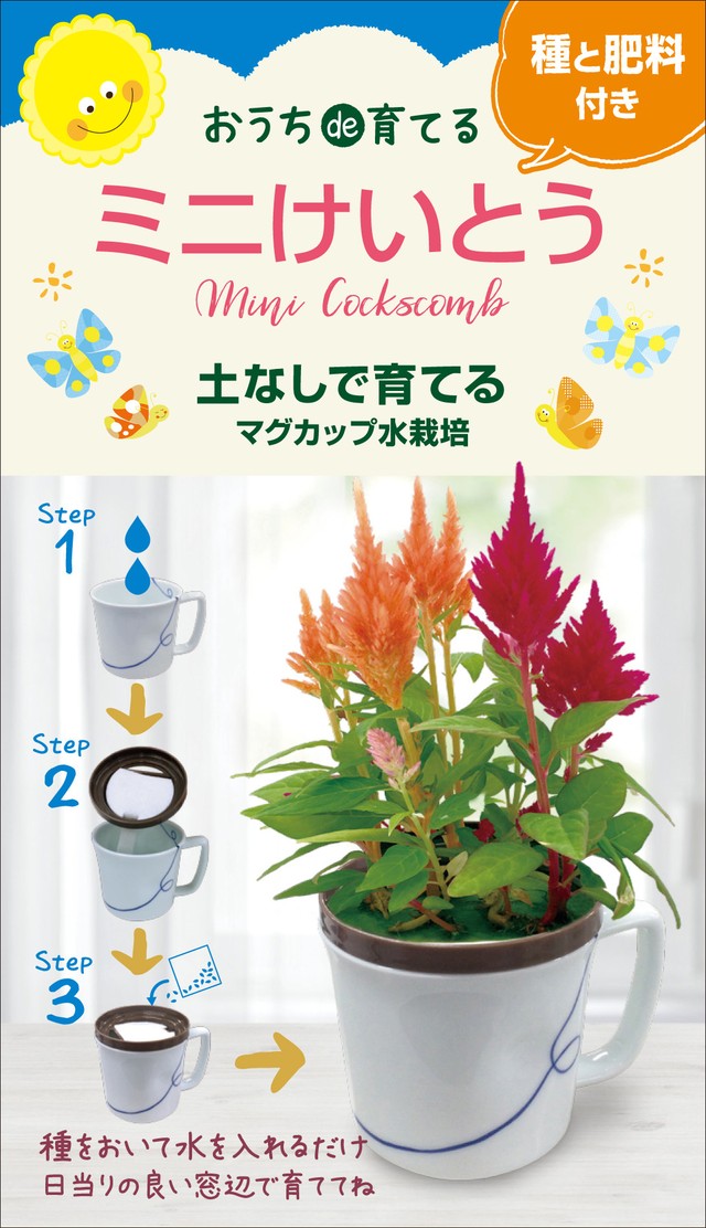 簡単マグカップ栽培 おうちde育てる ミニけいとう ｇreen L