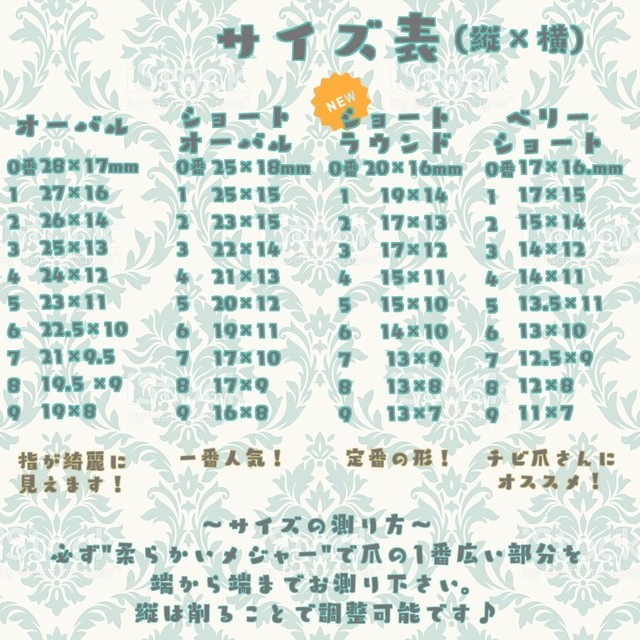 計測用ネイルチップ Nailshop Little Star
