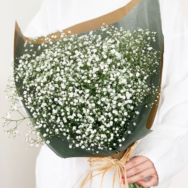 かすみ草 プレゼントブーケ Ja会津よつば よいはな Yoihana 最高品質の良い花の通販サイト