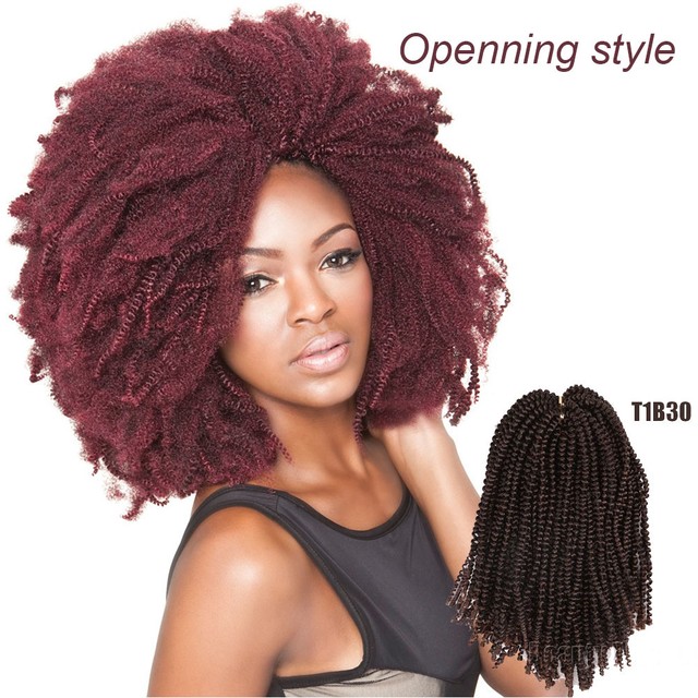 New Spring Curl Crochet Braids Synthetic Kinky Curly Hair