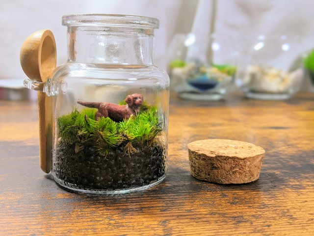 ビンの中の動物たち ミニチュアテラリウム アクアリウム