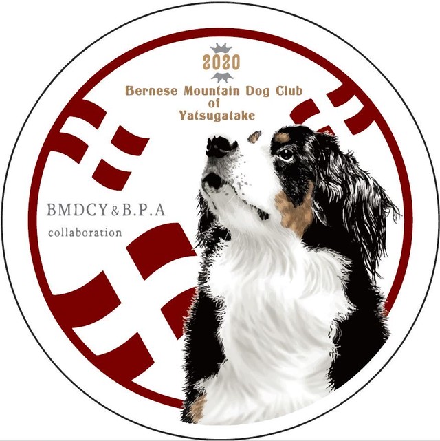 ｂｍｄｃｙ ｂｐａコラボレーション トリーツ おやつ 缶 ｂｍｄｃｙ 山梨八ヶ岳バーニーズマウンテンドッグクラブ