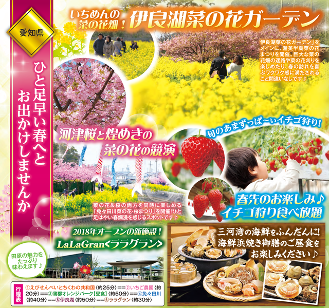 年2月愛知発 岐阜発 免々田川の河津桜と菜の花の競演観賞と三河湾海鮮浜焼き御膳のご昼食に旬のいちご狩り食べ放題日帰りバスツアー80円 つばさトラベル