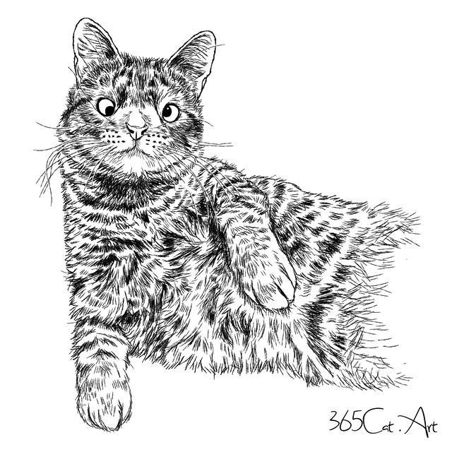 猫の手描きイラスト 似顔絵 白黒 作成 上半身 動物 人間可 猫雑貨 グッズ通販 猫や動物イラスト 似顔絵作成 365cat Art