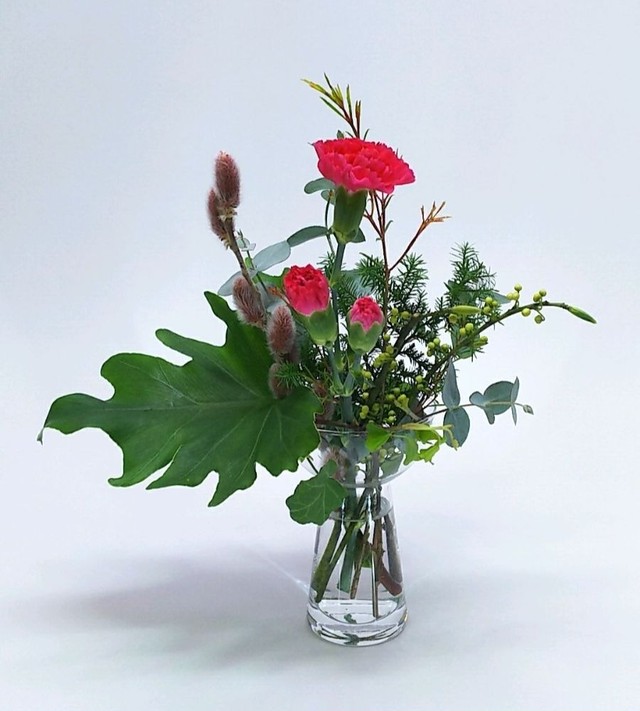 送料無料 隔週定期便 フラワーポスト フラポス 自宅のポストにお花が届く 365フラワーズ