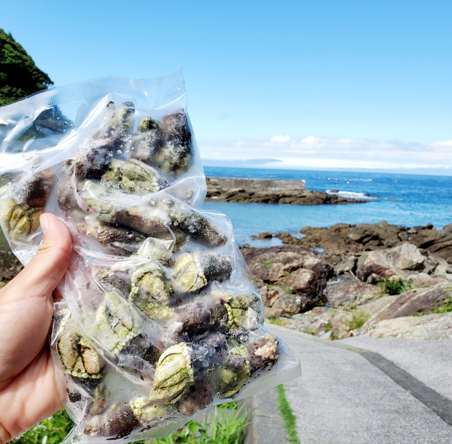 カメノテ 深島 でぃーぷまりん