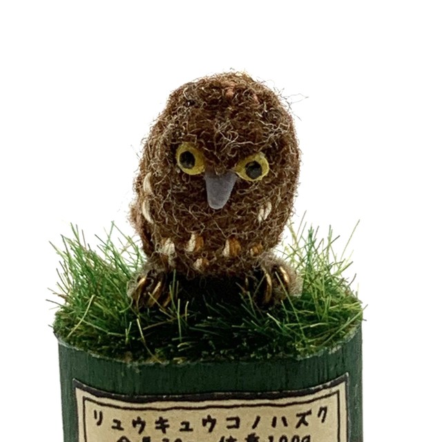 【フジタサンプル】ふくろうずかん リュウキュウコノハズク
