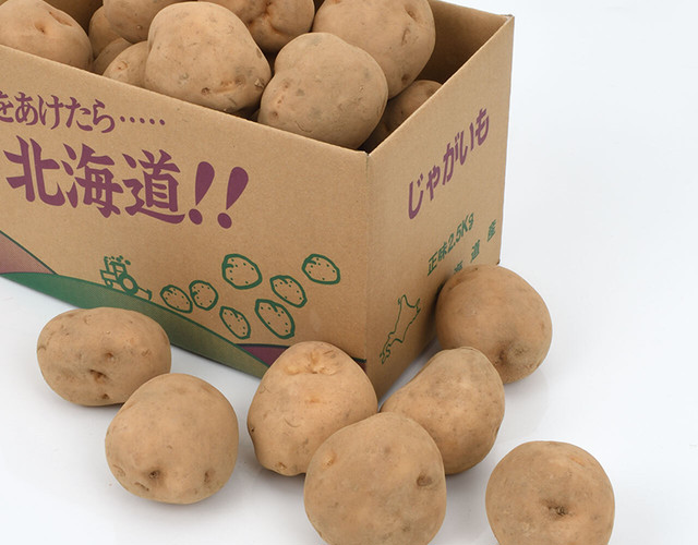 男爵じゃがいも〔送料無料、じゃがいも、男爵じゃがいも、男爵コッロケ、ポテトサラダ〕