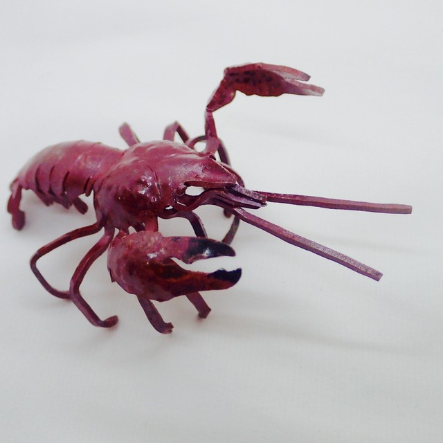 American Crayfish アメリカザリガニ aya