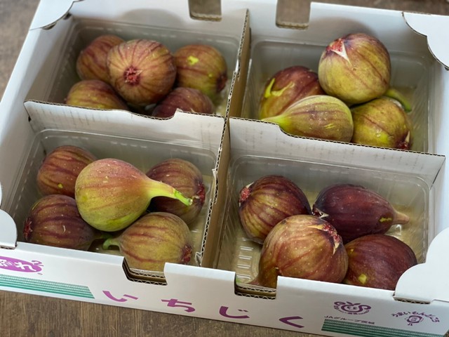 道の駅発酵の里こうざき