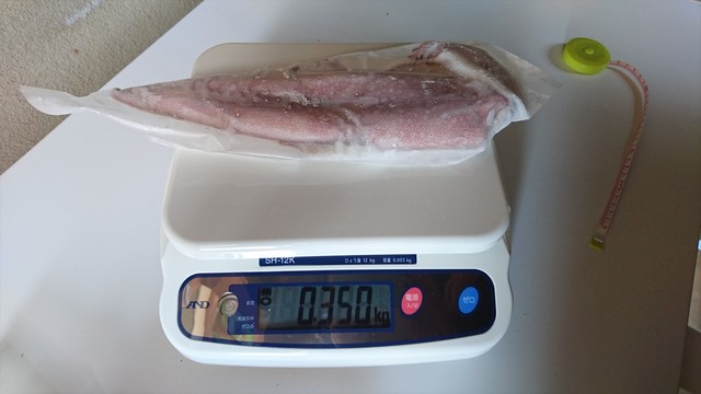 本物食材 ケンサキイカ １０００ｇ ７ ８人前 活イカ急速冷凍品 山陰海鮮 嵩海丸