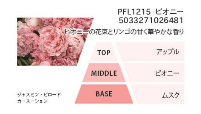 Ashleigh Burwood アシュレイ バーウッド ランプフレグランス ピオニー 500ml Zakka8
