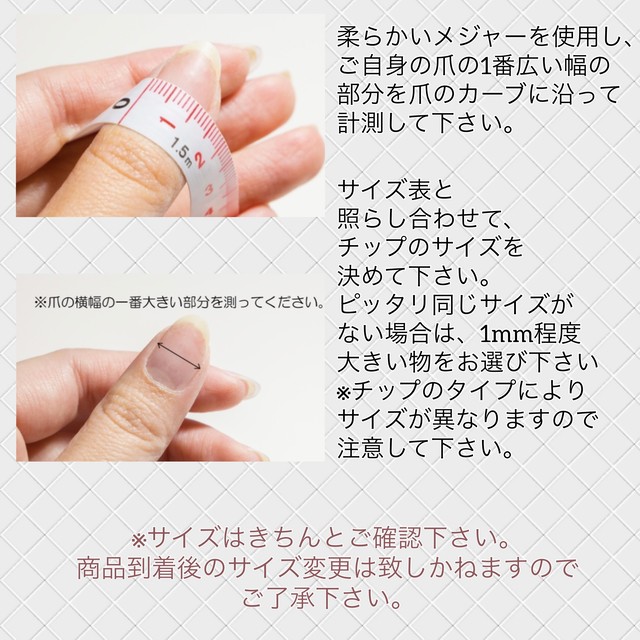 ネイルチップ ニュアンスアクセサリー Bonheur Femme ネイルチップ