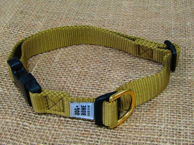 ドッグ首輪 ゴールド/M【ゴールド×ブラック金具の最強の組み合わせが大型わんちゃんのカッコよさを引き立てる!】】