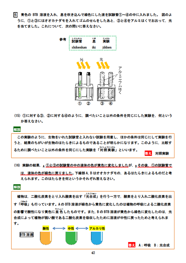理検 5級対策実物過去問 2回分解説付き 理数検定研究所ネットショップ 理検 5級対策実物過去問 2回分解説付き 理数検定研究所ネットショップ