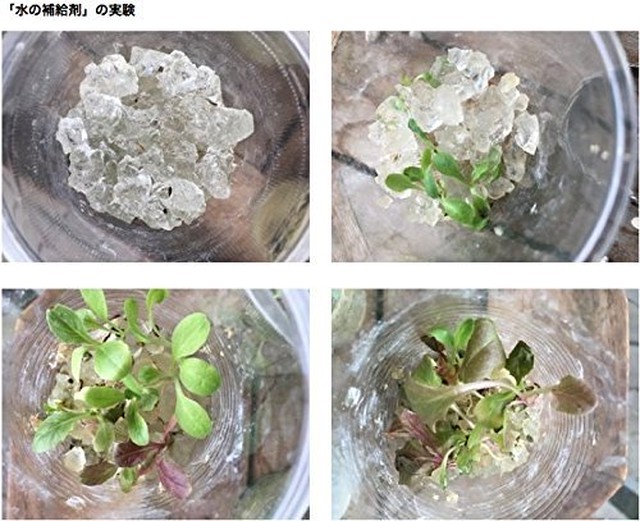 Newsorb 植物専用 水の補給剤 たった10gで1000ml 1リットル の水を吸水 100グラム 公式 ニューストーンインターナショナル株式会社 オンラインストア Official Online Store