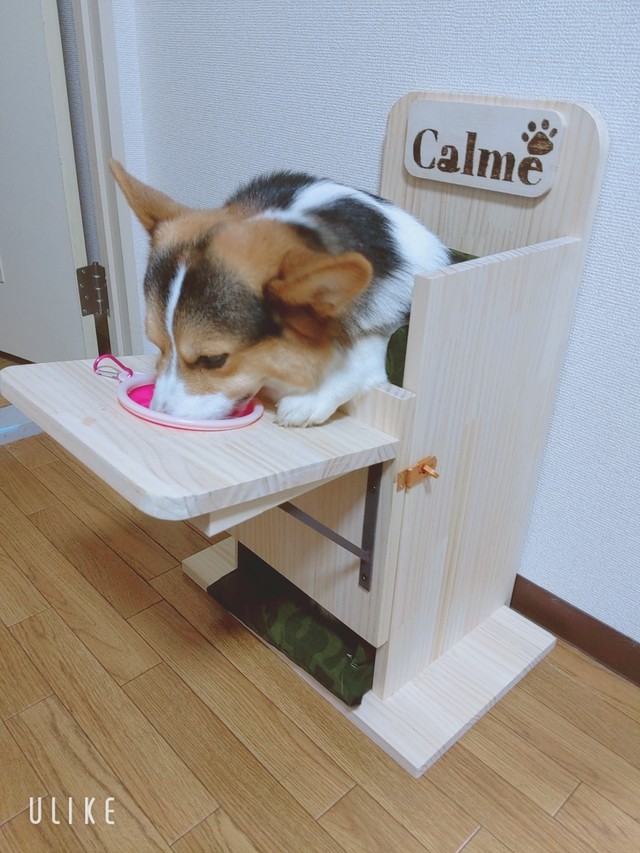 巨大食道症 犬用ベイリーチェア 中型犬専用 受注生産 Piyo Piyo Factory