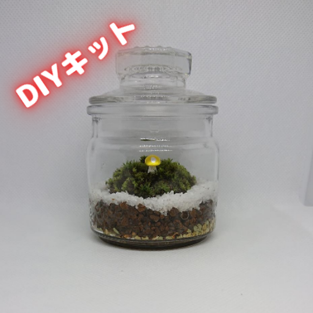 苔テラリウムdiyキットsサイズ 基本セット ピンセット初回限定プレゼント 苔テラリウム手作りキット Plants Of Life