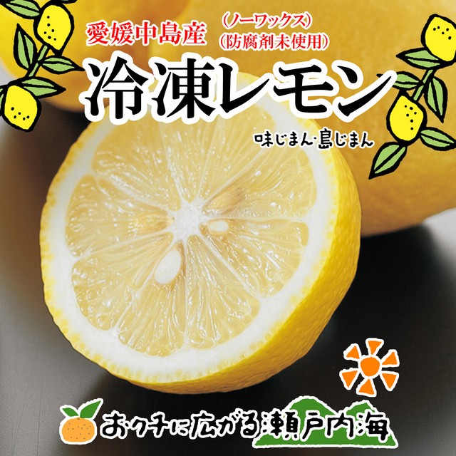 希望の島 国産レモン 500g 残留農薬ゼロ 冷凍レモン カットレモン 国産 レモンサワー用 愛媛 中島産 みかんの楽園 希望の島