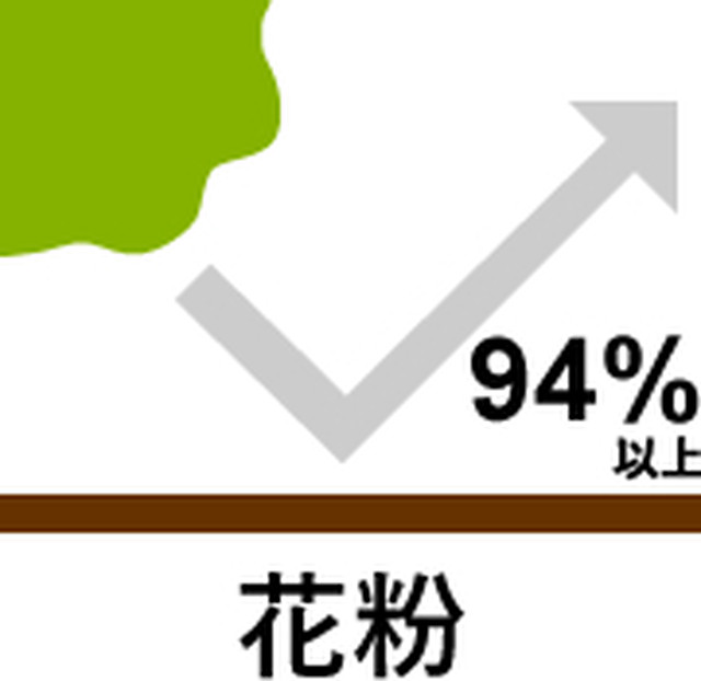 日本製クール立体マスク 感染予防の必須アイテム スカルのイラストがカッコいいマスク Dream Catcter Uv花粉カット 洗って繰り返し使える Takumiba Dog Lovers Jp1