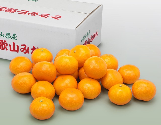 和歌山県産みかん 〔送料無料 みかん 詰め合わせ 贈答用 御歳暮〕