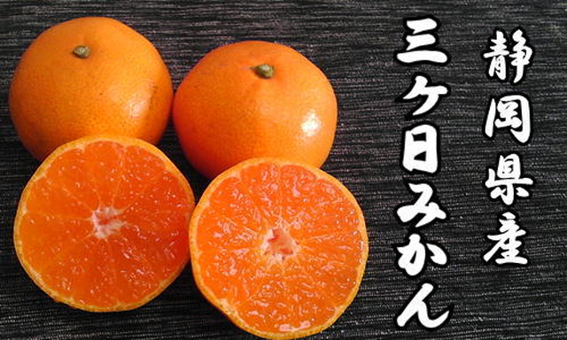 静岡県産三ヶ日みかん10キロ早生 少し訳あり品 本州送料無料 みかん専門店 オレンジ農園