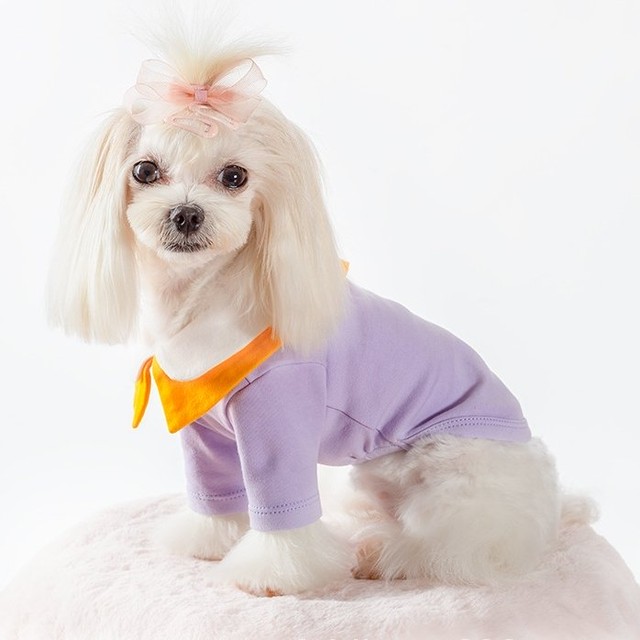犬 服 Tシャツ ドッグウェア 犬の服 カラフル 着やすい 洗濯可 春夏秋冬 かわいい 男の子 女の子 Cospa Fashion