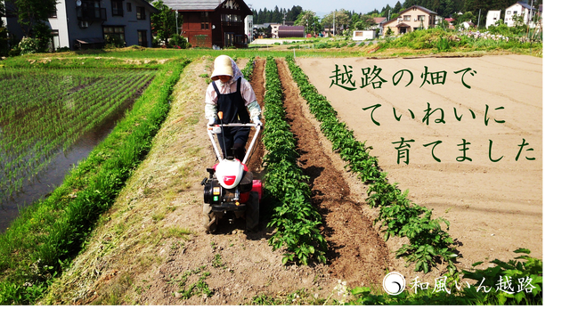 和風いん越路 通販部