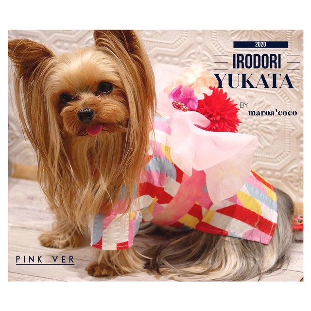 Pet Wear irodori浴衣 犬服浴衣 犬用浴衣 ペット浴衣 Maroa Coco マロアココ