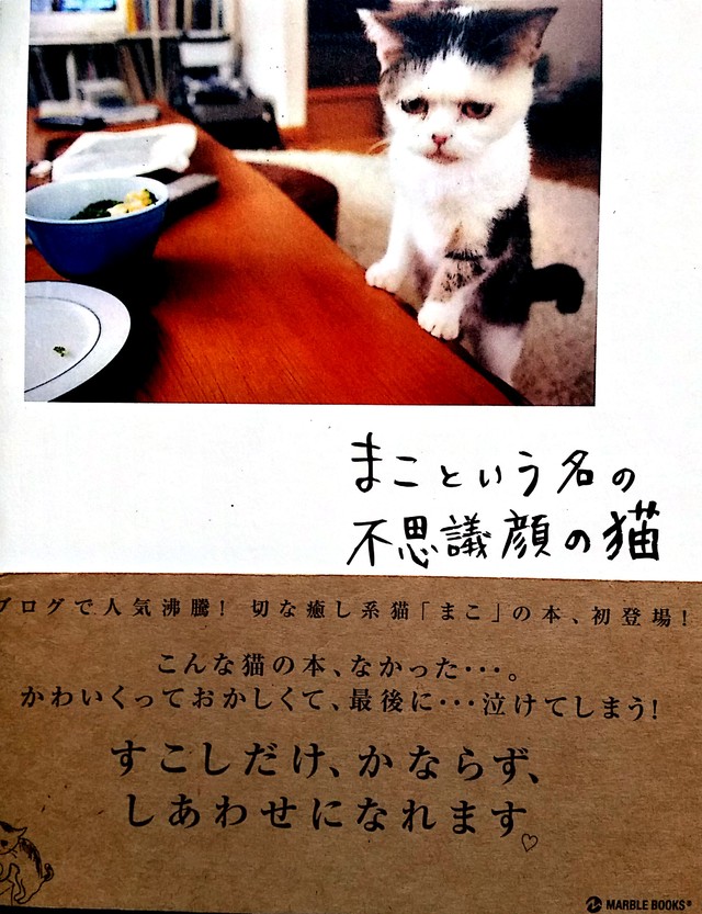 まこという名の不思議顔の猫 Rakudaya