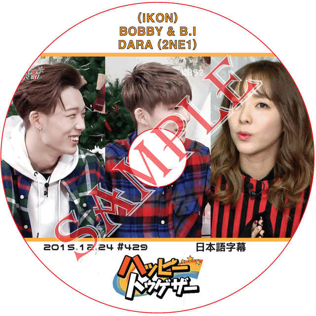 K Pop Dvd 2ne1 ハッピートゥゲザー 15 12 24 日本語字幕 アイコン バビ Bobby ハンビン B I ダラ Dara 2ne1 Style Kpop