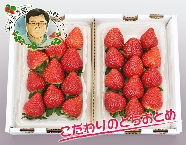 七ツ石いちご 小野口農園とちおとめ 約300g(9~14粒)×2〔送料無料、とちおとめ、いちご、苺、七ツ石、小野口農園、詰め合わせ、贈答用〕