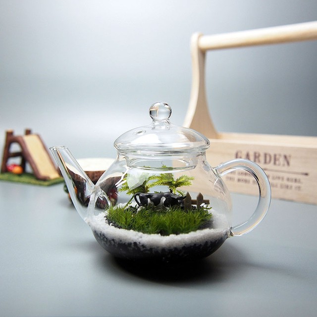 苔テラリウム 手作りキット一式 ティーポット 工房 津軽moss