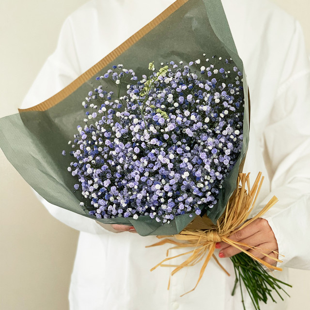 染めかすみ草パープル プレゼントブーケ Ja会津よつば よいはな Yoihana 最高品質の良い花の通販サイト