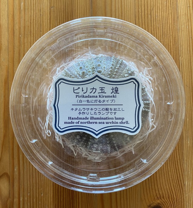 ピリカ玉 煌 ウニ殻のランプ Kaido Shop