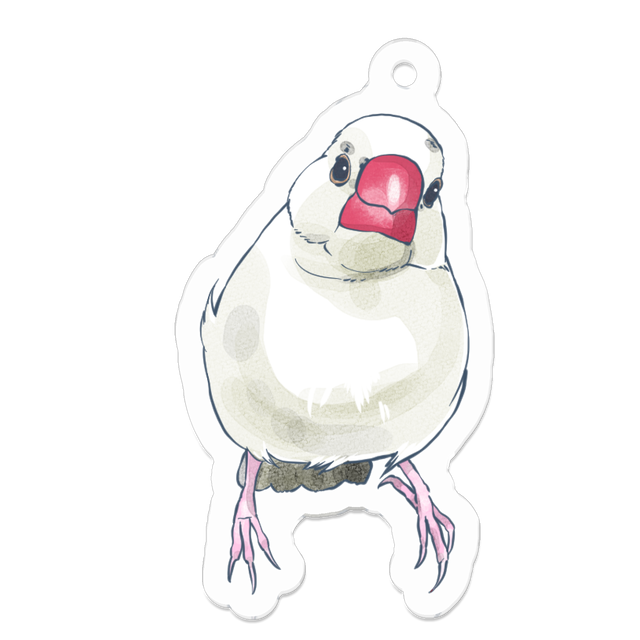 イラスト依頼 鳥 Sarashido