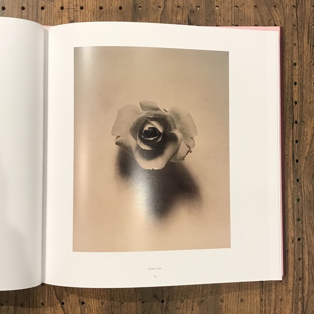Pistils ロバート メイプルソープ Robert Mapplethorpe 百年 Pistils ロバート メイプルソープ Robert Mapplethorpe 百年
