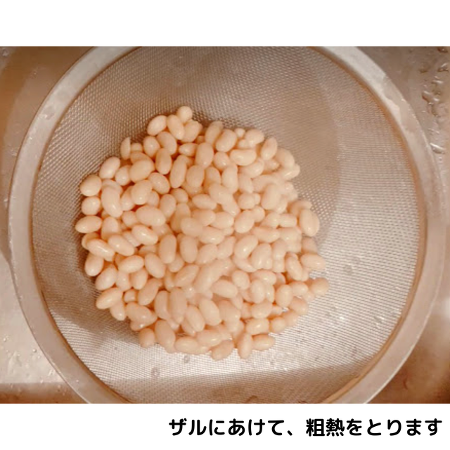 おうちで味噌作り 初めてのかんたん手作りオーガニック味噌キット 有機大豆 有機塩切り糀 仕込み用ビニール袋 作り方ハンドブック入り オーガニック 味噌 発酵食品 有機 調味料 国産有機 発酵食品専門 カネサオーガニック味噌工房