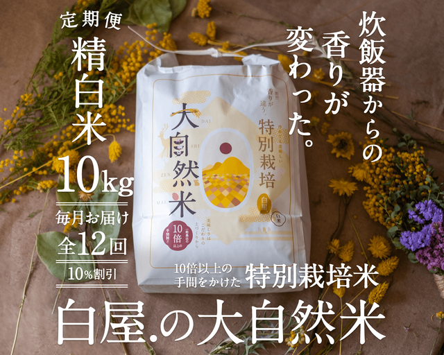 【定期購入/1ヶ月毎】大自然米【精白米】10kg x 12回(1年間)10%お得!