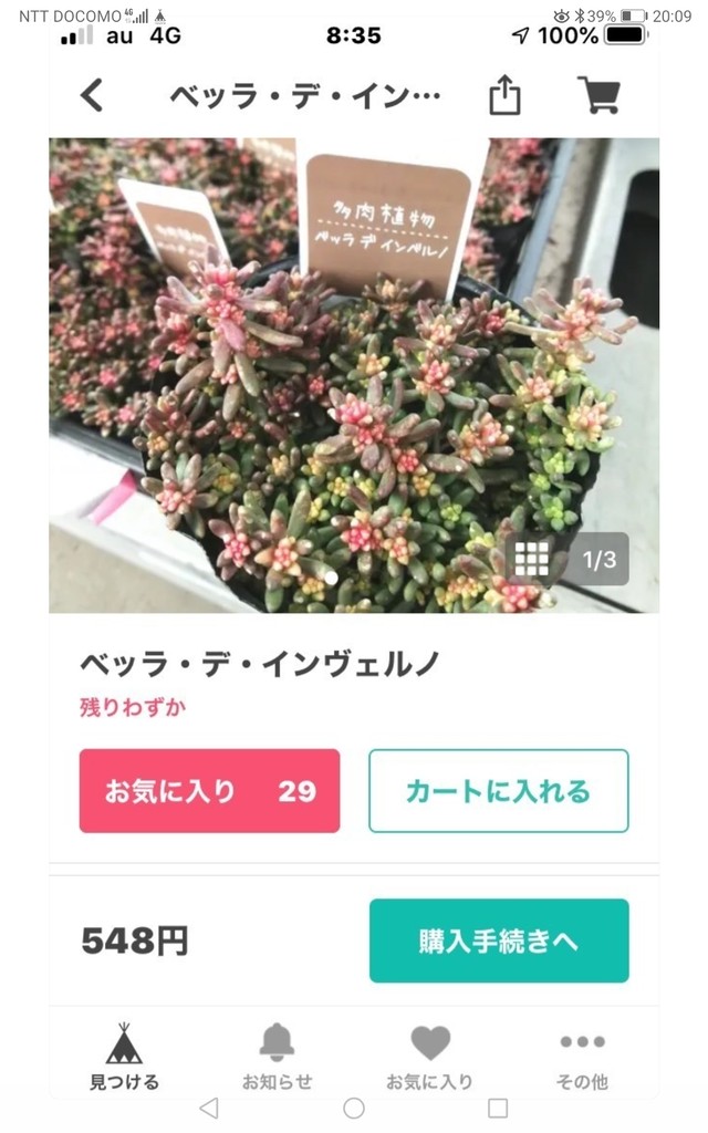 インスタm様ご注文4点セット Rupo 多肉植物専門店