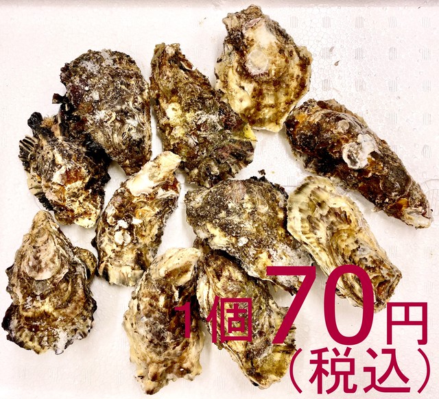 【一般のお客様大歓迎】425 三重産冷凍殻付き牡蠣 ご家庭用10個入 加熱用