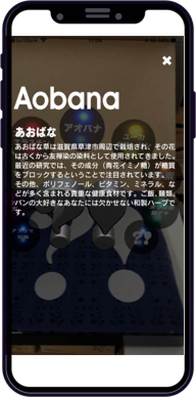 Badd びっくりあおばなダブルダレ あおばな草加工食品 Aobana Farm