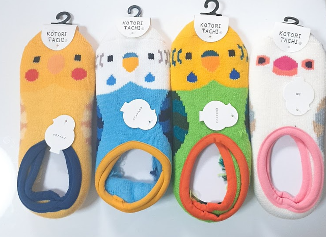 Kotoritachi あったかソックス かわいい子鳥 ルームソックス Pal Home Center