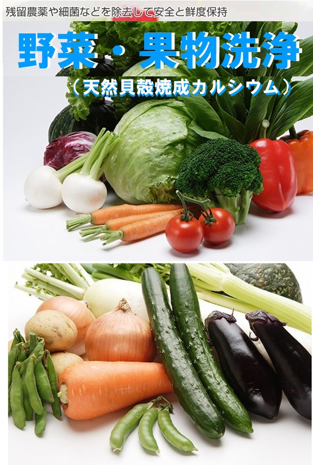 カルシウム 貝殻 焼成