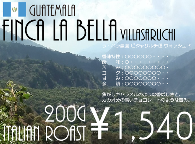 グァテマラ ラ・ベラ農園 ビジャサルチ種 ウォッシュド - Italian Roast - (200g)