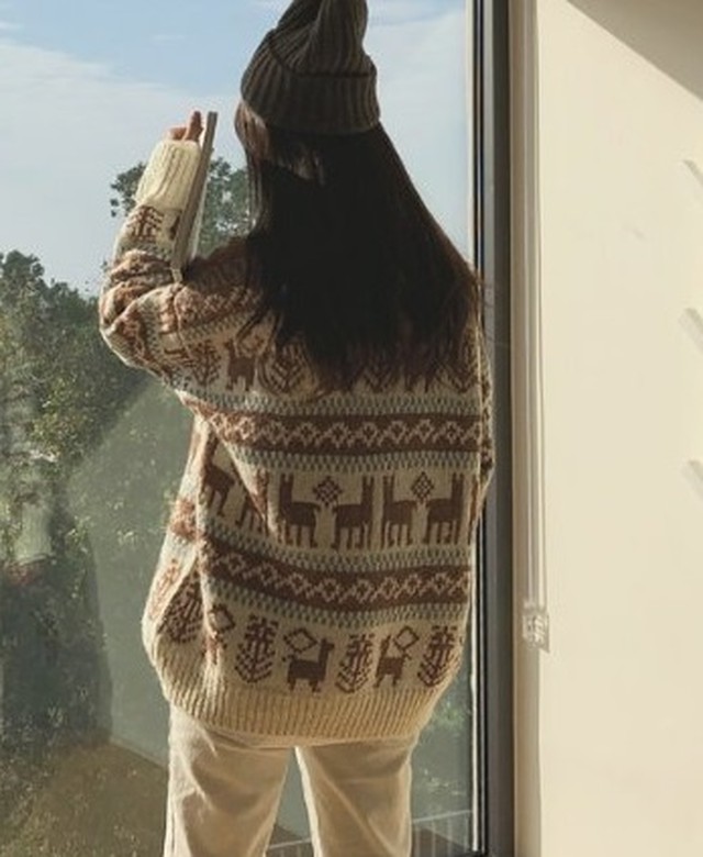 弱める せせらぎ ブリード ノルディック 柄 セーター レディース Ts Cruise Jp