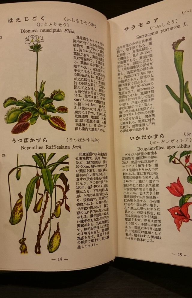 學生版 原色植物図鑑 園芸植物篇 弥生坂 緑の本棚