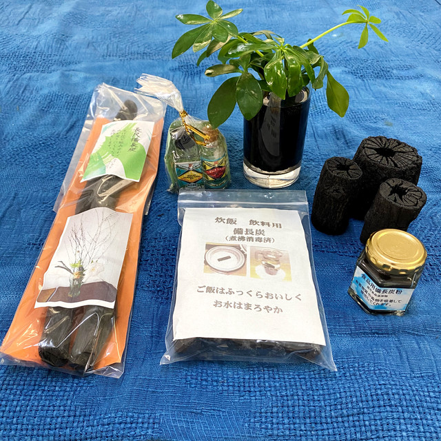 高知土佐の備長炭 インテリア用備長炭6点セット 備長炭のかわばた