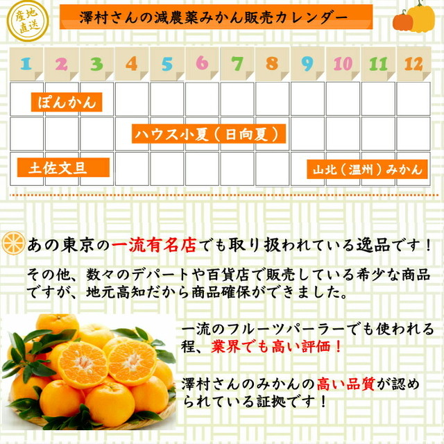 山北みかん 減農薬 特選優品 約10kg サイズ混合 高濃度 生産者は澤村さん限定 温州みかん お歳暮 送料無料 高知県産 土佐カツオとうなぎの通販 高知の旬をお届けする 池澤鮮魚マリンオンラインショップ